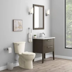 American Standard Cadet 12 In. Antimicrobial 2-Piece 1.28 GPF Single Flush Chair Height Round Toilet In Bone With Slow Close Seat -The Home Depot bone american standard two piece toilets 788ba104 021 77 1000