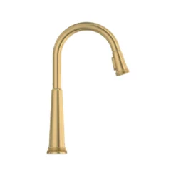 American Standard Eastcourt Single Handle Pull Down Sprayer Kitchen Faucet With Dual Spray In Brushed Cool Sunrise -The Home Depot brushed cool sunrise american standard pull down kitchen faucets 105773gn00 44 1000