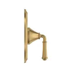 American Standard Delancey 1-Handle Valve Trim Kit For Flash Rough-In Valves In Brushed Cool Sunrise (Valve Not Included) -The Home Depot brushed cool sunrise american standard shower bathtub trim kits tu052500 gn0 40 1000