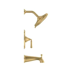 American Standard Delancey Water Saving 1-Handle Tub And Shower Trim Kit In Brushed Cool Sunrise (Valve Not Included) 6 American Standard Delancey Water Saving 1-Handle Tub And Shower Trim Kit In Brushed Cool Sunrise (Valve Not Included) -The Home Depot brushed cool sunrise american standard shower bathtub trim kits tu052508 gn0 40 1000