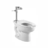 American Standard Madera 1-Piece 1.28 GPF Single Flush Elongated Toilet In White