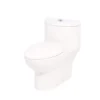 American Standard Tofino Complete 1-Piece 1.1 GPF Dual Flush Elongated Toilet In White With Slow Close Seat